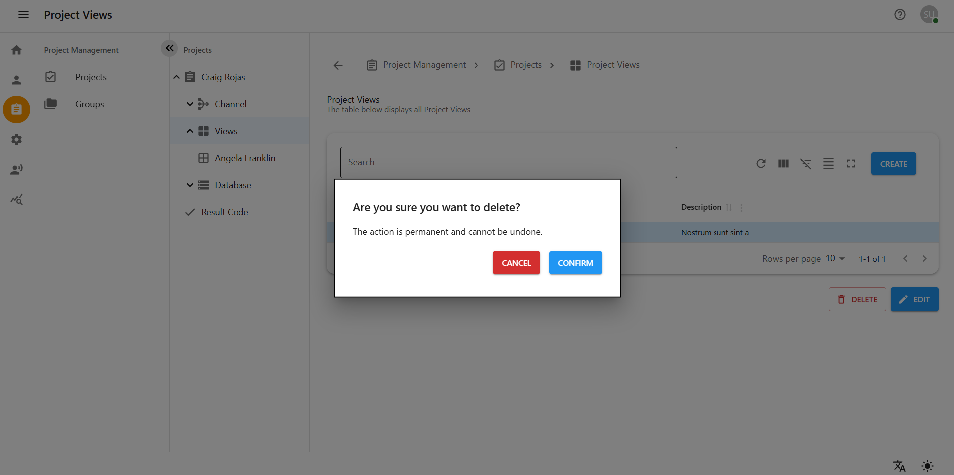 Delete Project View